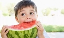 吃瓜中国宝宝,揭秘网络时代的“瓜田”现象