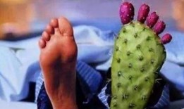 痛风吃白瓜吗好吗,痛风患者食用白瓜的适宜性探讨