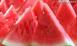 吃瓜奢侈的语言