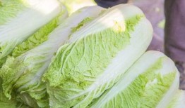 长垣吃大瓜,探寻“吃大瓜”的独特魅力