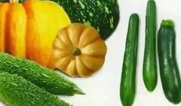 特别好看的吃瓜视频,全网热议！揭秘特别好看的吃瓜视频背后的精彩瞬间